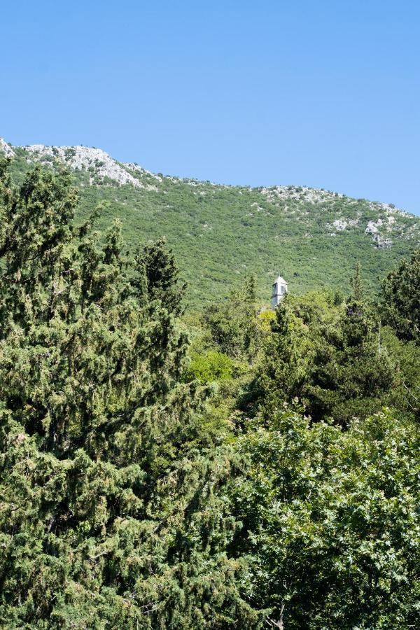 La Olga Apartment Lefkada Sívros Extérieur photo
